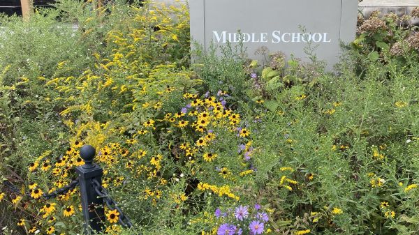Yellow and purple flowers surround a sign that reads, "Middle School"