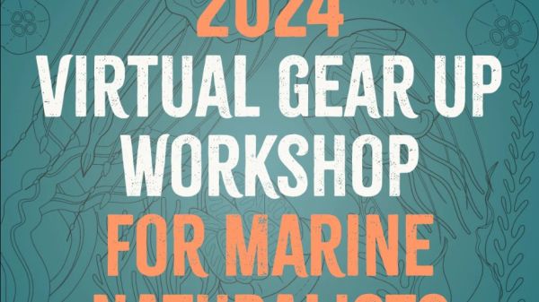 2024 virtual Gear Up Workshop for Marine Naturalists 