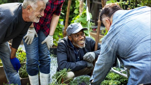 Group of people gardening