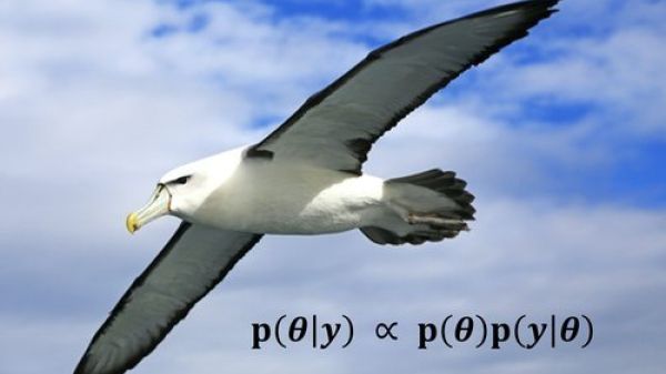 Photo of an albatross flying in the sky