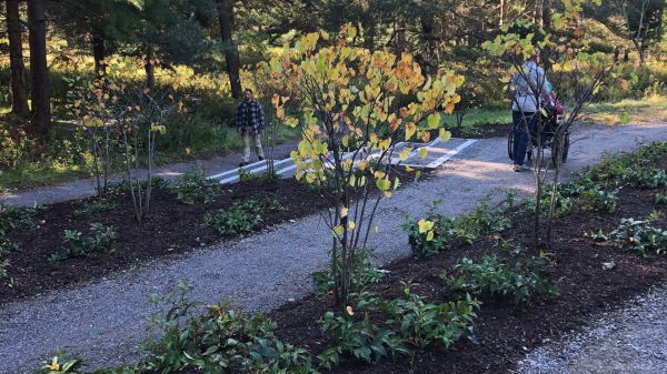 A person in grey shirt and black pants pushing person in pink jacket and blue cap in wheelchair outdoors along path between trees and shrubs