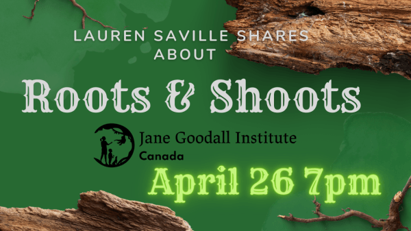 Green background with a bare branch and part of a tree bark framing the four corners of the square graphic. Text includes: OSEE Presents Interactions Live/Lauren Saville Shares About Roots & Shoots/April 26 7pm/Register on Eventbrite/Members free or by donation"