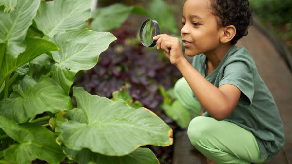 A young child looking at a plant through a magnifying glass
