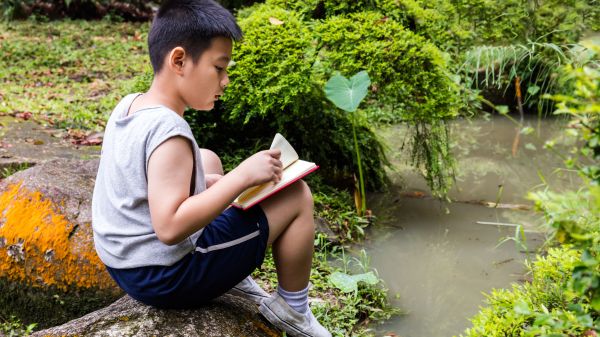 Child sitting on a large rock along a pond, reading a book.