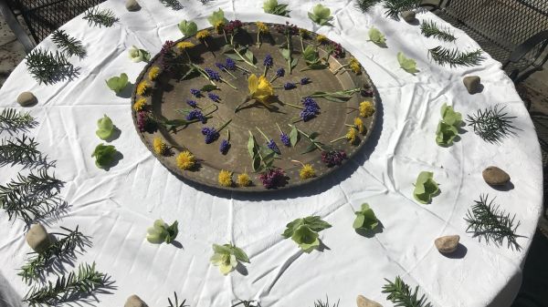 Photo of a variety of plants and flowers arranged in a circle on a table