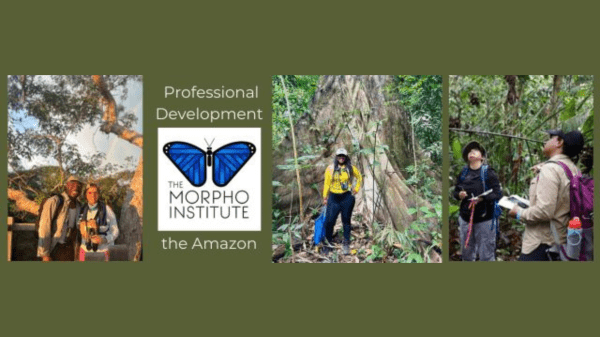 Green background with photos of people studying in a jungle, and the Morpho Institute logo in the middle