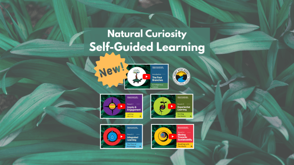 Infographic with green leaves as the background. In the foreground there are 5 thumbnails for each learning module video. The Rainy River District School Board logo is present. The text reads "Natural Curiosity's Self-Guided Learning Series New!"