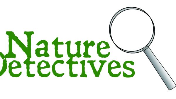 nature, nature education, observation, nature journal, discovery, environmental education, exploration