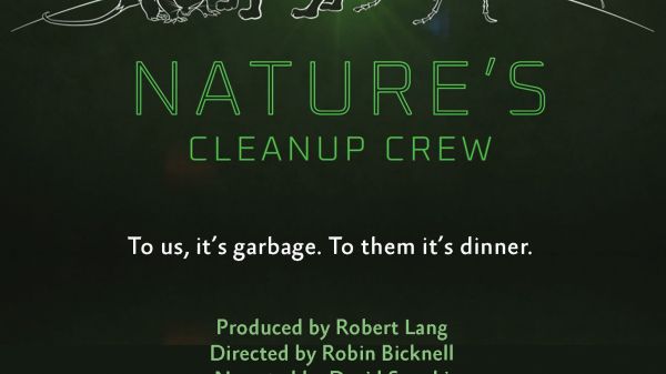 Nature's Cleanup Crew