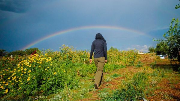 A person walks through a garden with a rainbow in the distance