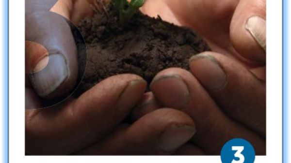 Macro photo of a pair of hands holding a seedling in dirt