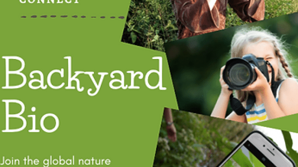 Green background with white text that says, "Explore Discover Connect." Under that, more white text that says, "Backyard Bio Join the global nature campaign and learn more at backyard bio dot net." On the right hand side are a group of three photos. The top photo shows a young girl holding binoculars. The middle photo shows a young girl holding a camera, and the bottom photo shows someone's hand holding a smartphone.