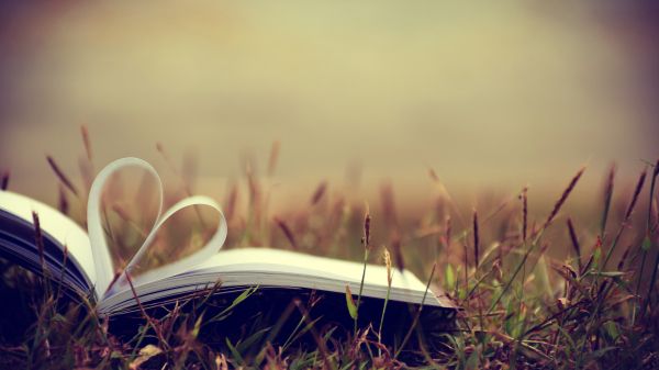Book laying in a field open to a pair of pages folded into the shape of a heart.