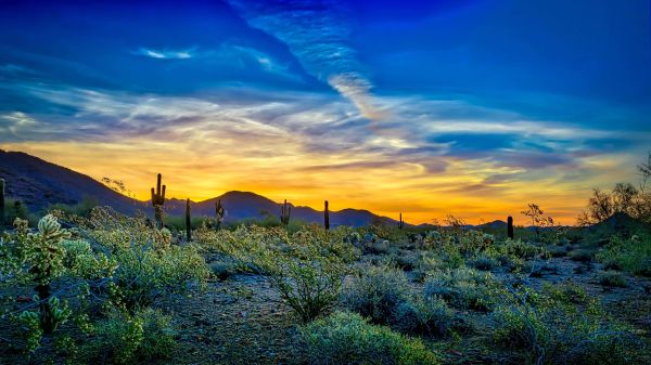 Arizona sky and desert