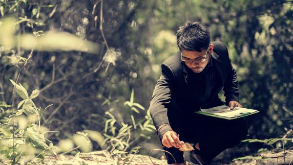 young man studying leaves in forest