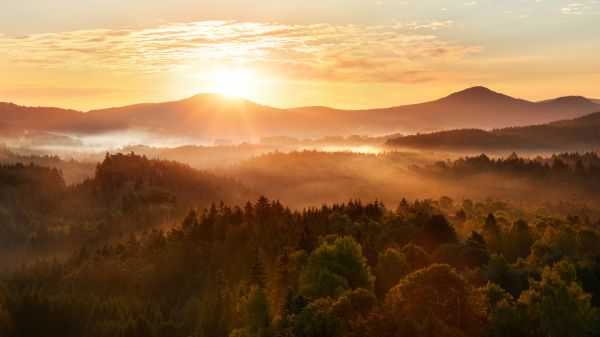 Beautiful autumn morning on the view point above the deep forest valley in national park Bohemian Switzerland. 