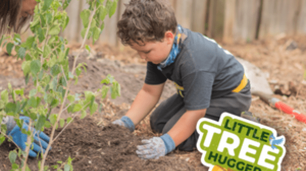 A young child kneeling on the ground, scooping dirt into a mound with a growing tree nearby