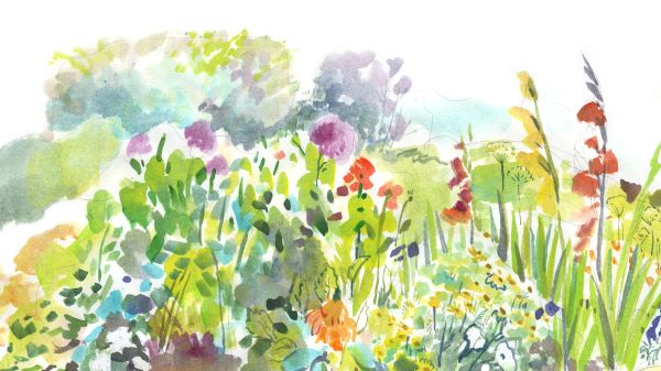 Watercolor illustration of a colorful garden of flowers and grasses