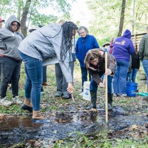 Educators investigate a stream