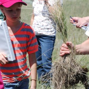 An NRCS employee explains the importantce of blue bunch wheat grass in Montana's native rangelands to future conservationists.