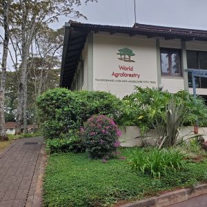 World Agroforestry Center Building