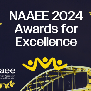 Graphic with a photo of a night sky with yellow bridge at the bottom, framed by golden leaves graphics, with text that says, "Awards for Excellence." NAAEE logo on the bottom left.