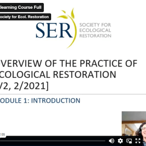 Screenshot of SER's online course video