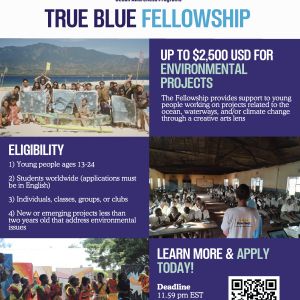 True Blue Fellowship Poster