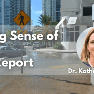 Background is a photo of a flooded downtown street with white text that says, "Making Sense of the IPCC Report" on the left and a profile photo on the right.