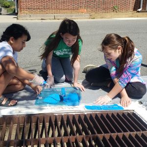 Three kids sit next to a storm drain along a road with a brick building in the background. The storm drain has white paint bordering the drain. The kids have a stencil on top of the white paint, and are painting blue on top of the stencil to create messaging around the storm drain.