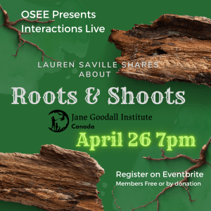 Green background with a bare branch and part of a tree bark framing the four corners of the square graphic. Text includes: OSEE Presents Interactions Live/Lauren Saville Shares About Roots & Shoots/April 26 7pm/Register on Eventbrite/Members free or by donation"