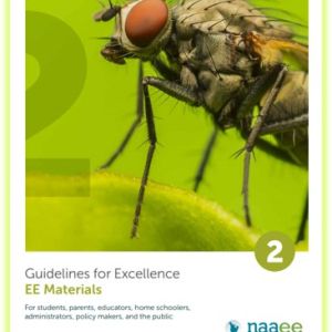 Macro photo of a fly
