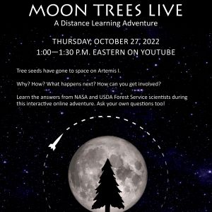 Moon Trees LIVE Flyer