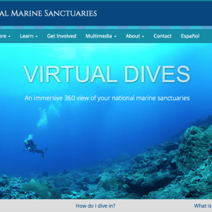 A scuba diver exploring a coral reef