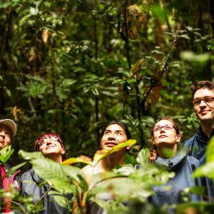 group of students in forest