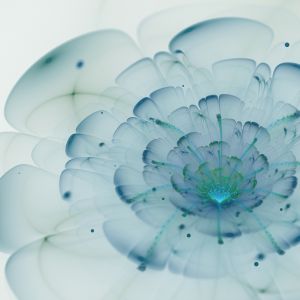 White background with close-up of blue flower