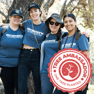 Tree Ambassadors