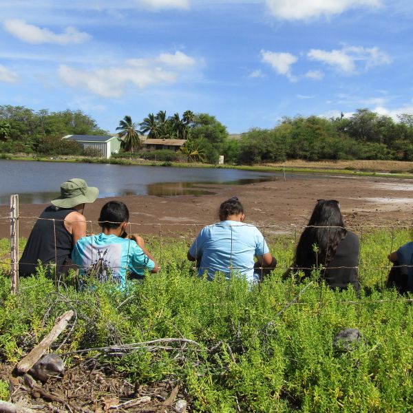 Scene of Coastal Camp field trip to Koheo Wetlands with four campers and one scientist.