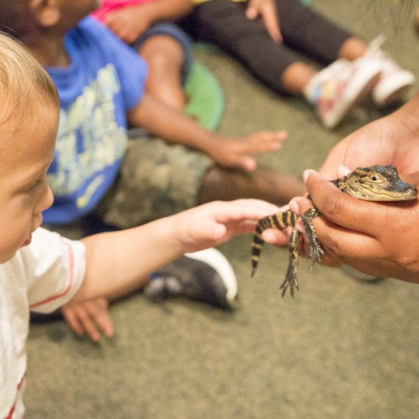 Mississippi Museum of Natural Science