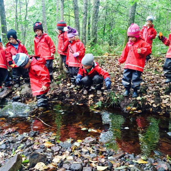 Secret Forest Playschool