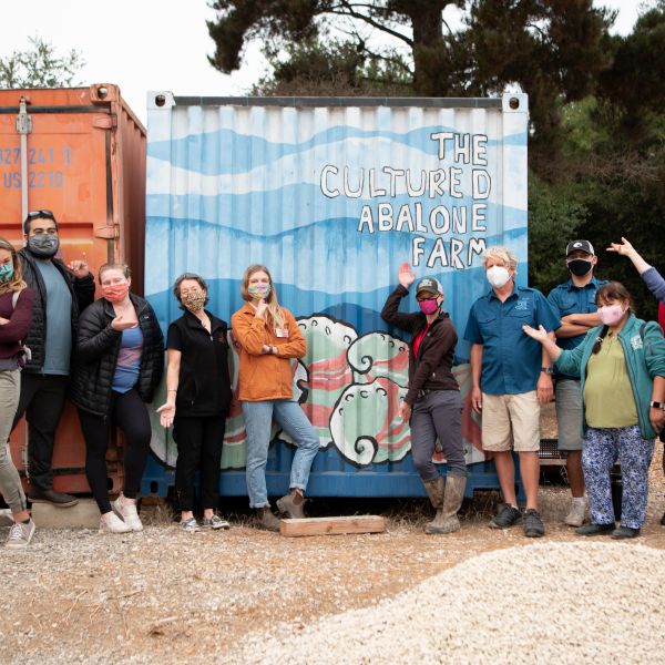  The Sea Center staff tours TCAF to expand their knowledge of abalone aquaculture, so they can better teach aquarium visitors about large scale aquaculture and how it is helping save the endangered white abalone. 