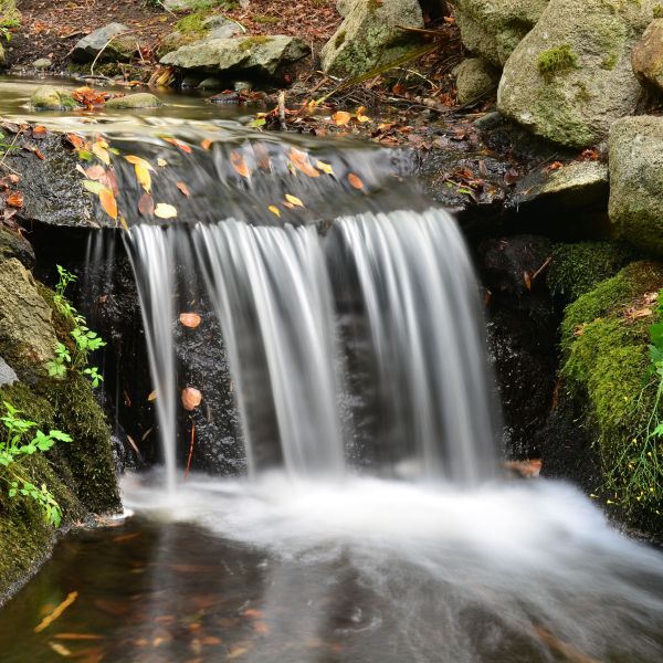 Water pours over a ledge in a small stream.