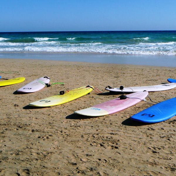 Surfboards on a beach. 