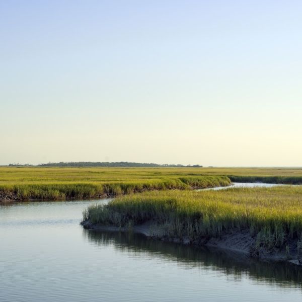 A waterway meanders through vegetation on a cloudless day