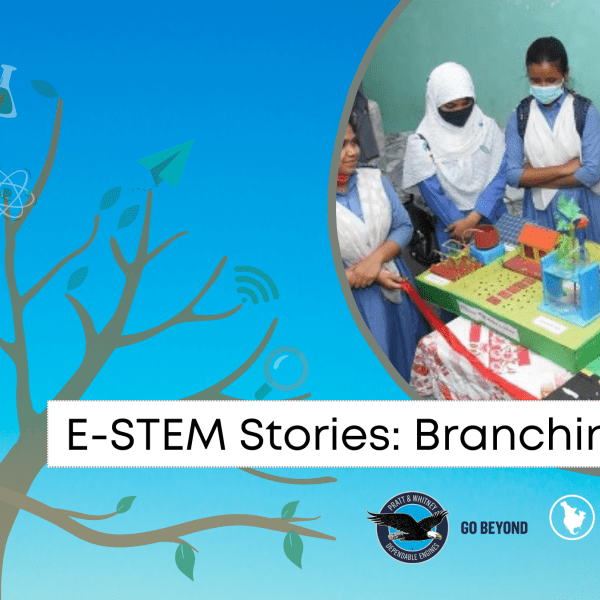 Illustration of a tree with text that reads, "E-STEM Stories: Branching Out."