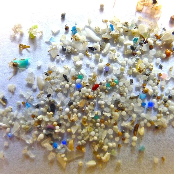 Tiny plastic particles