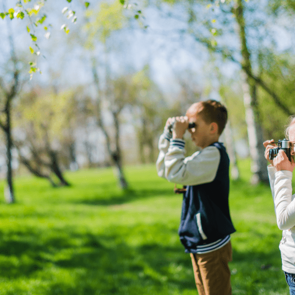 Children bird watching