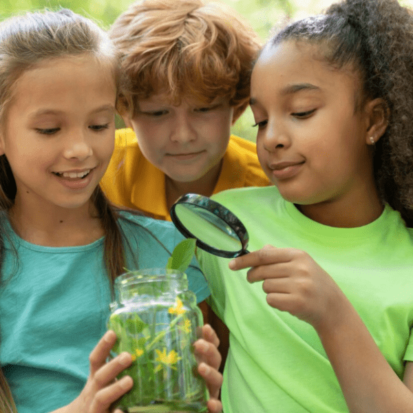 Children examine pond life through magnifying glass