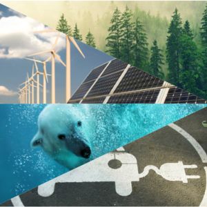 Grid of forest, solar panels, polar bear, and car icon