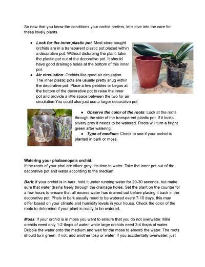 Orchid tips Page 2